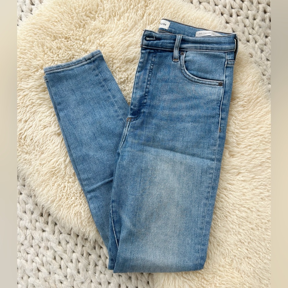Denim Forum Lola High Waist Skinny Jeans